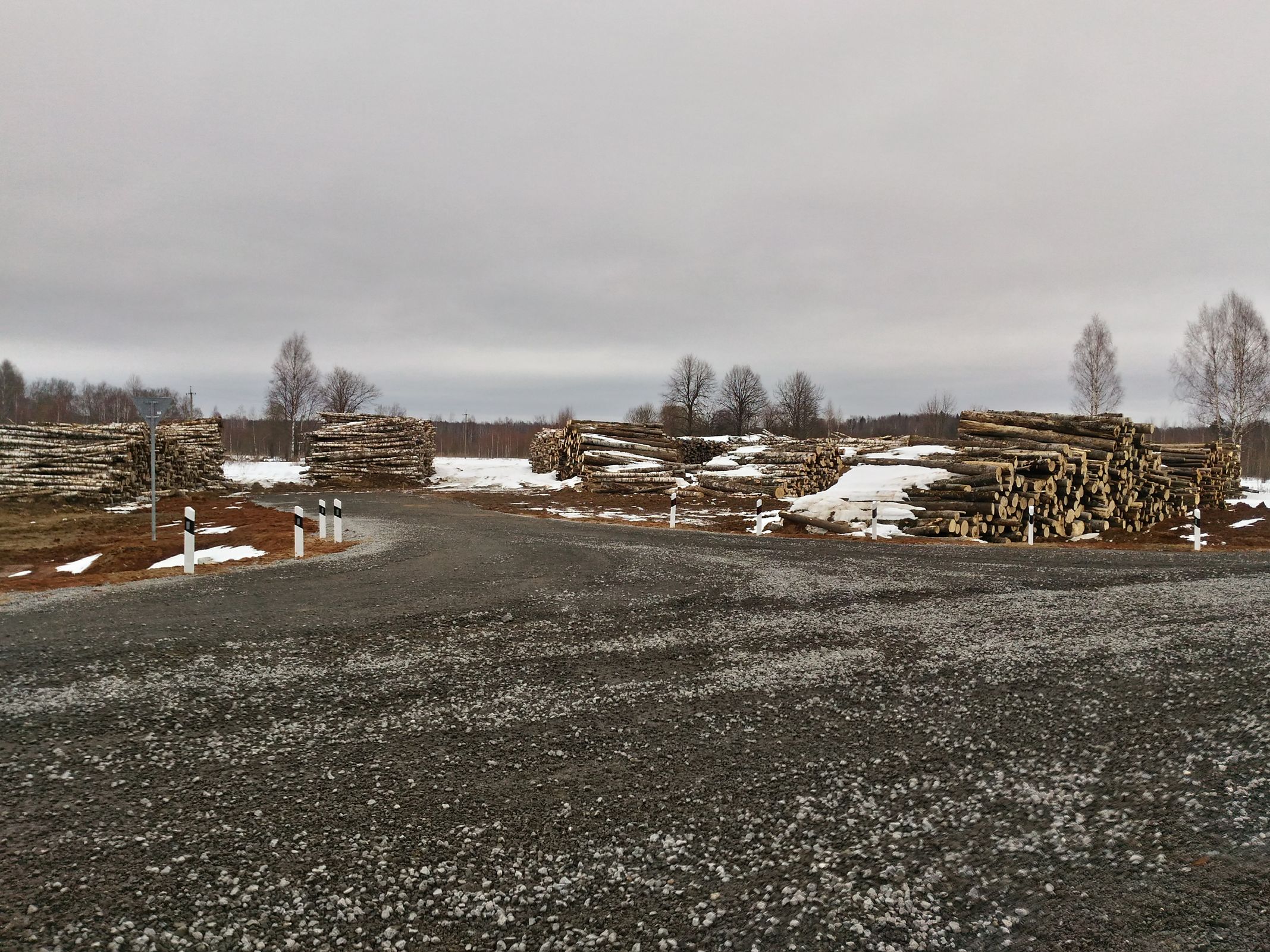 Весной на дорогах Ярославской области введут ограничения для большегрузного транспорта, перевозящего лес