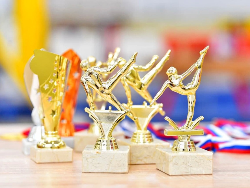 Ярославские гимнасты завоевали 16 медалей на региональных соревнованиях