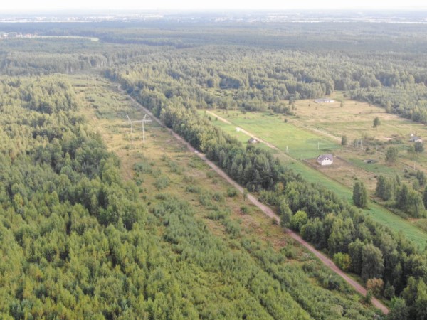 840 километров минерализованных полос подготовят в этом году для защиты лесов от пожаров в Ярославской области