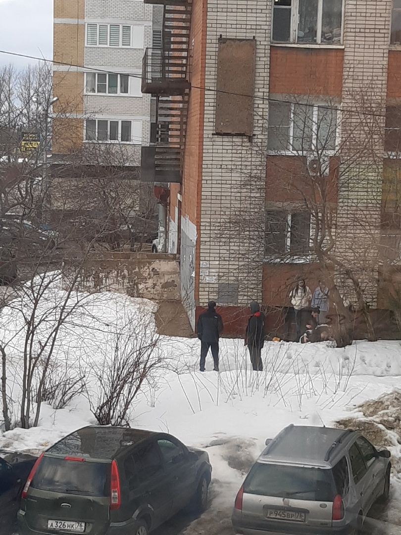 В Ярославле 14-летняя девочка выжила после падения с седьмого этажа