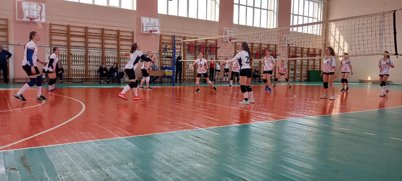 В Ярославской области завершился волейбольный турнир среди сельских школ региона