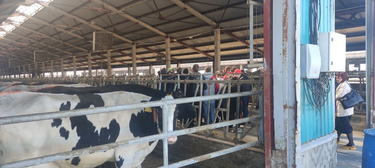 В Ярославской области переселенцам с Украины провели экскурсию по сельскохозяйственному комплексу