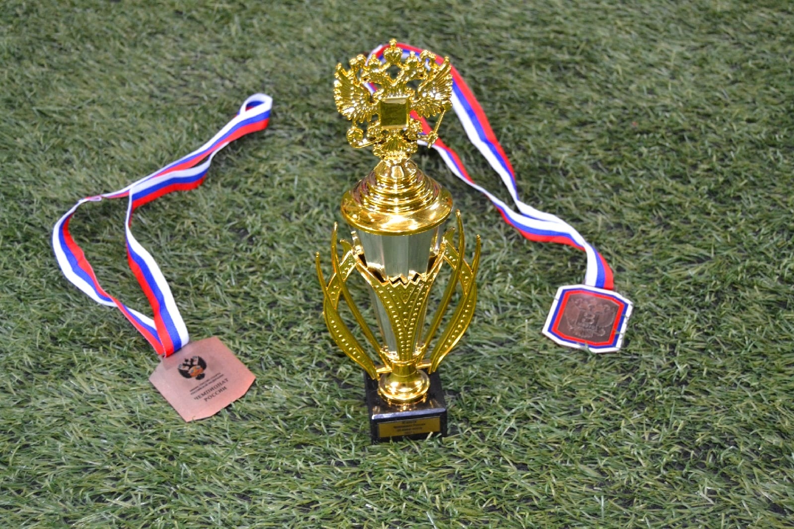 Команда Ярославской области стала победителем чемпионата России по мини-лапте