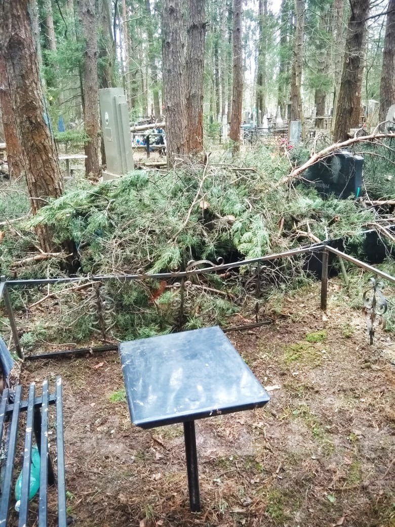 В Ярославле на Игнатовском кладбище спиленные деревья бросили на могилах