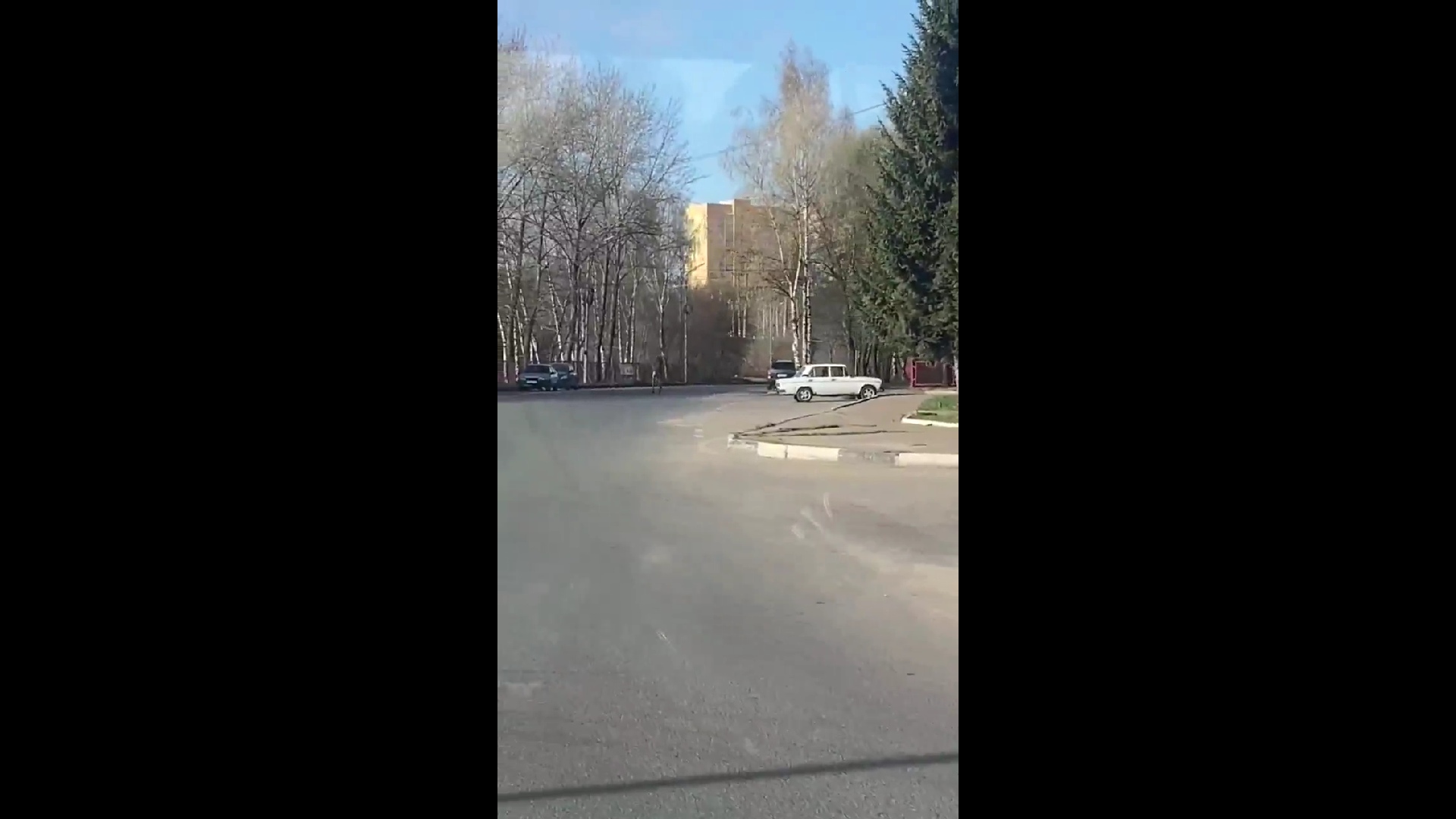 В Ярославле на видео сняли лося, бегущего по проезжей части у шинного завода