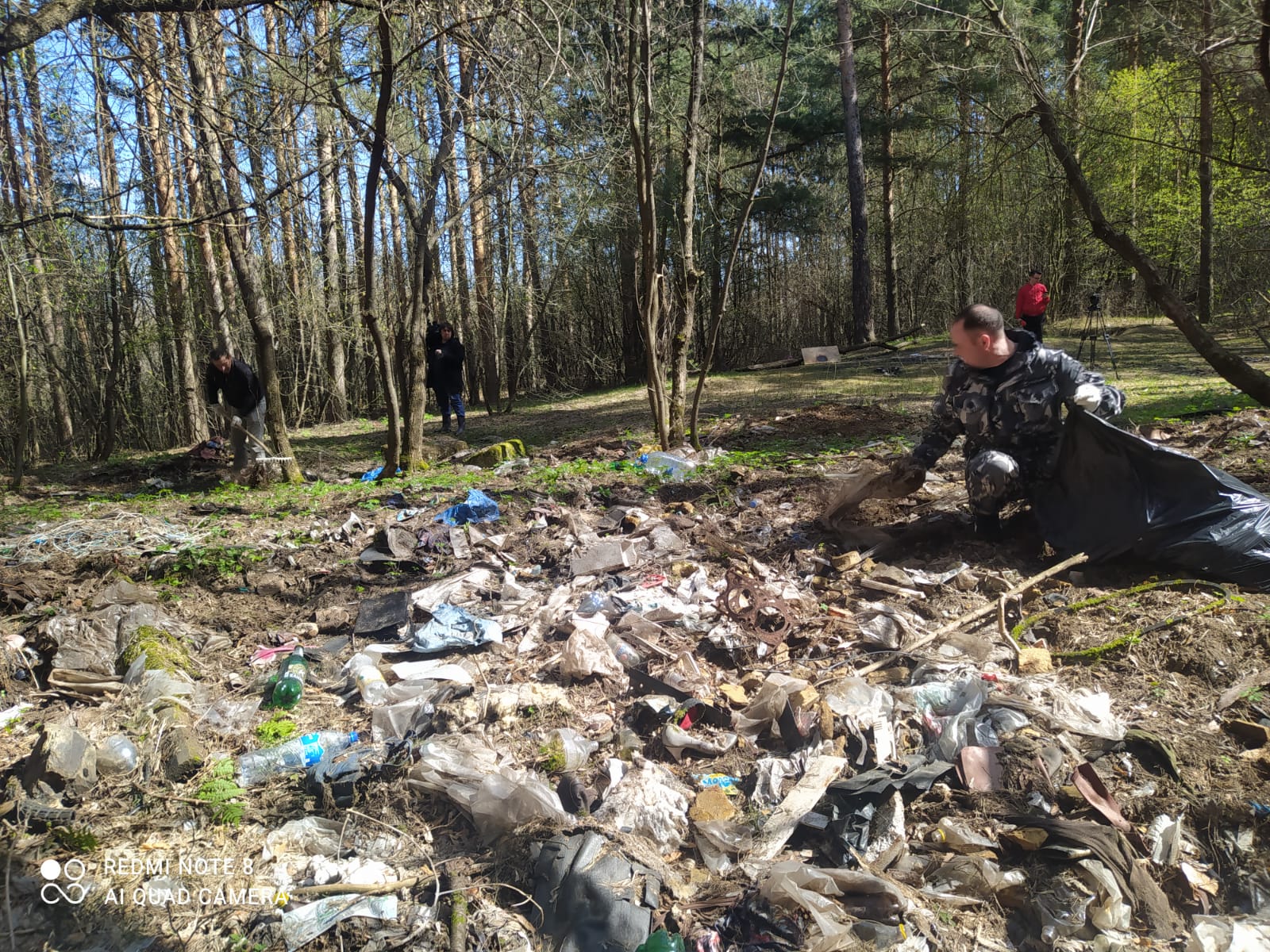 В Ярославской области стартовала экологическая акция «Очистим лес от мусора»