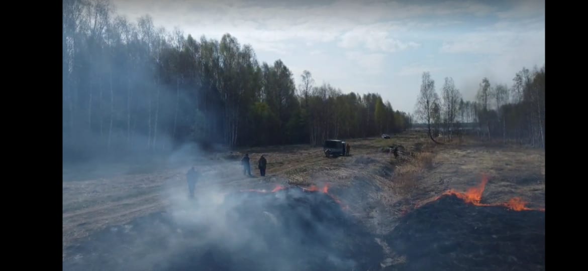 В Ярославской области оперативно ликвидировали возгорание в Переславском лесничестве