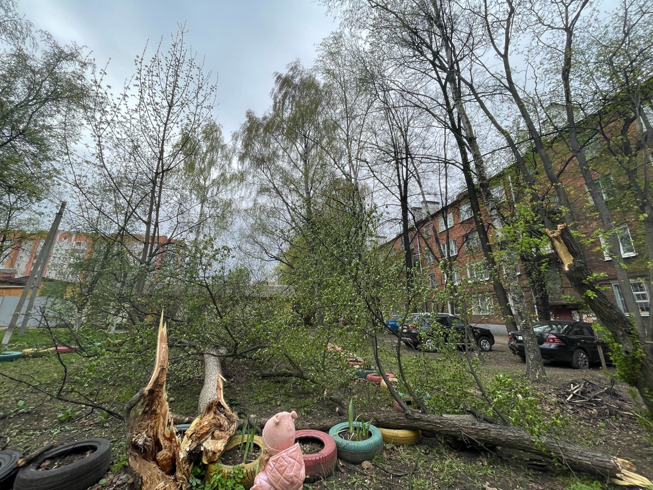 В Ярославле сильный ветер снес строительный забор и поломал деревья- Яррег  - новости Ярославской области