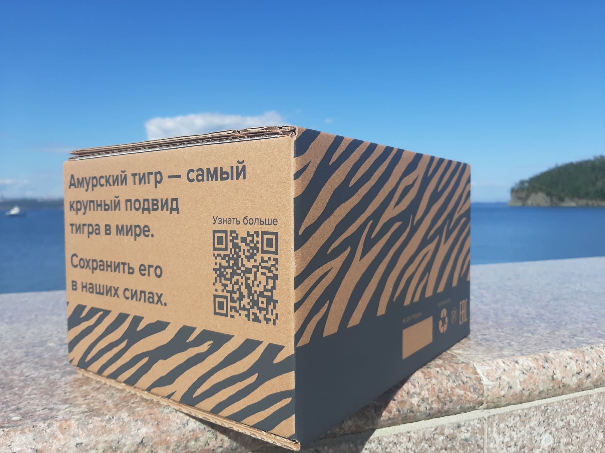 Форумы упаковки. Тигриные коробки. Тигровая коробка. Коробка почта. Тигриные коробки почта.