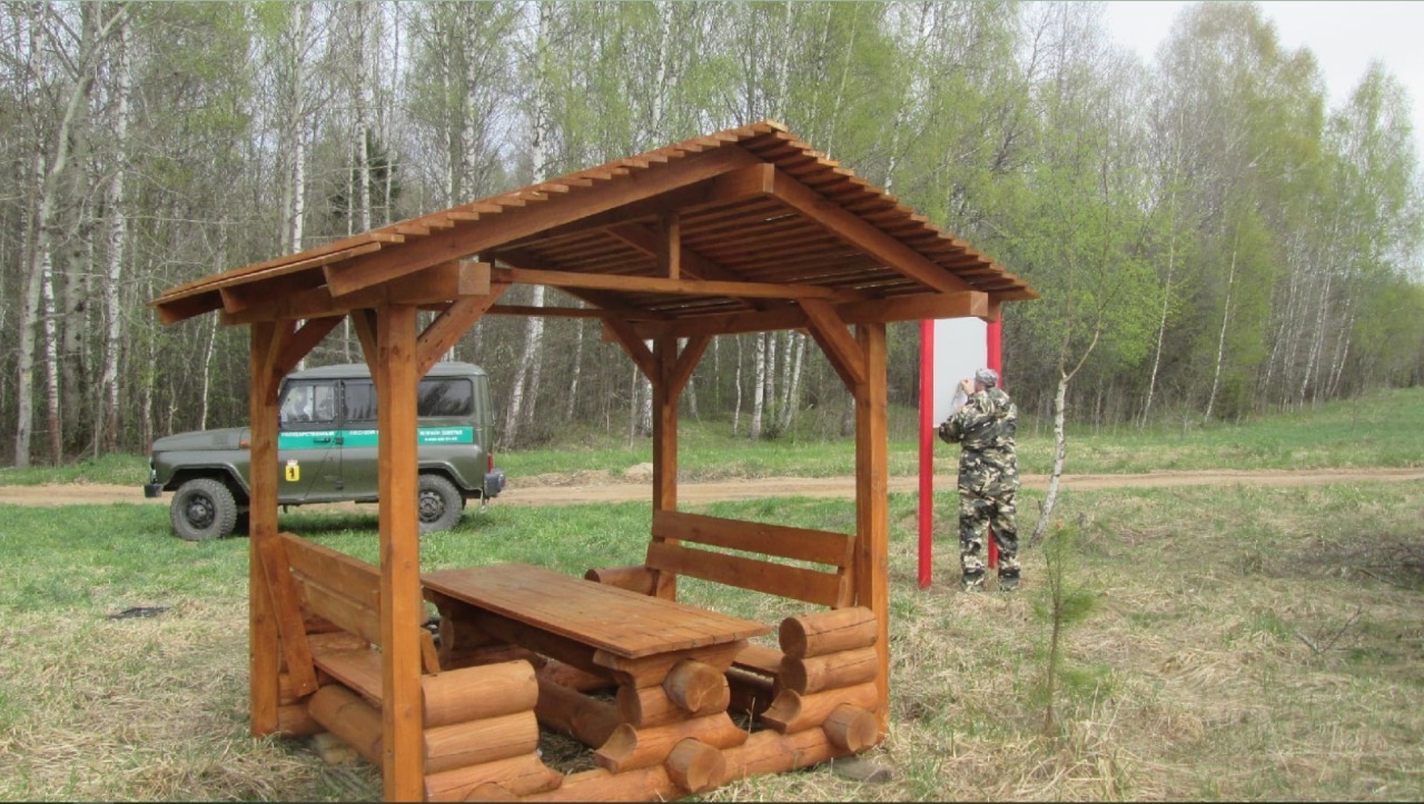 250 мест для отдыха благоустроили в лесах Ярославской области