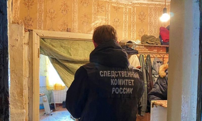 Жителя Ярославской области осудят за избиение сына и поджог автомобиля стоимостью полмиллиона рублей