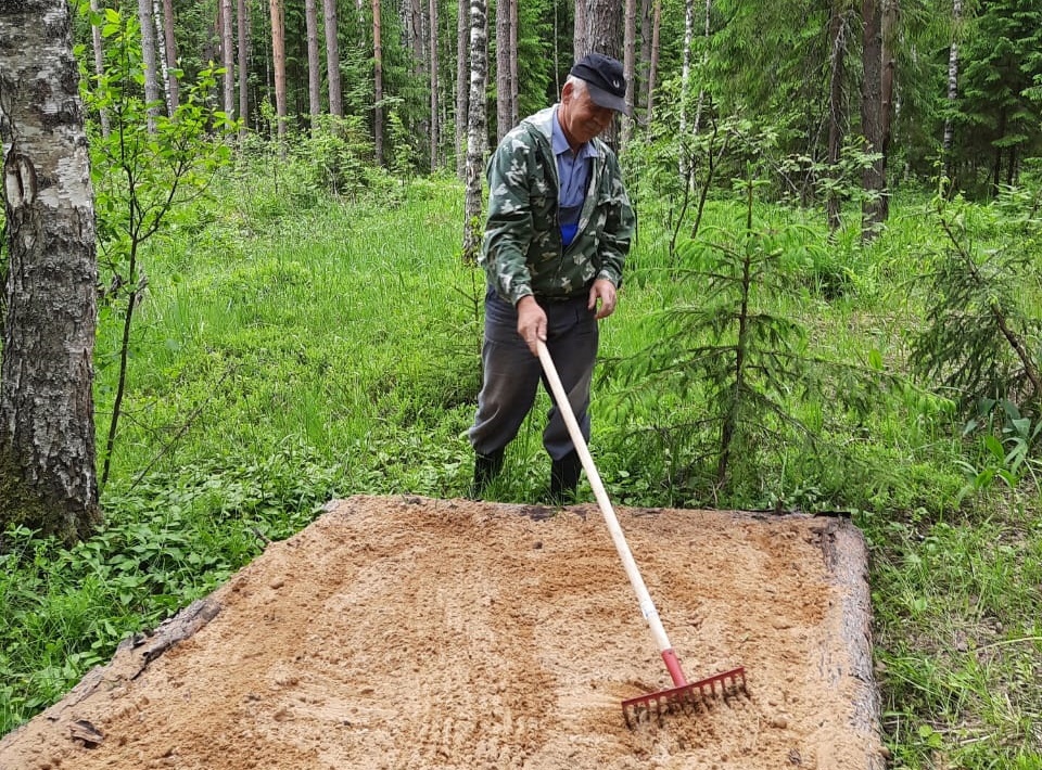 Более тысячи галечников и порхалищ для глухарей, тетеревов и рябчиков обустроили в ярославских лесах