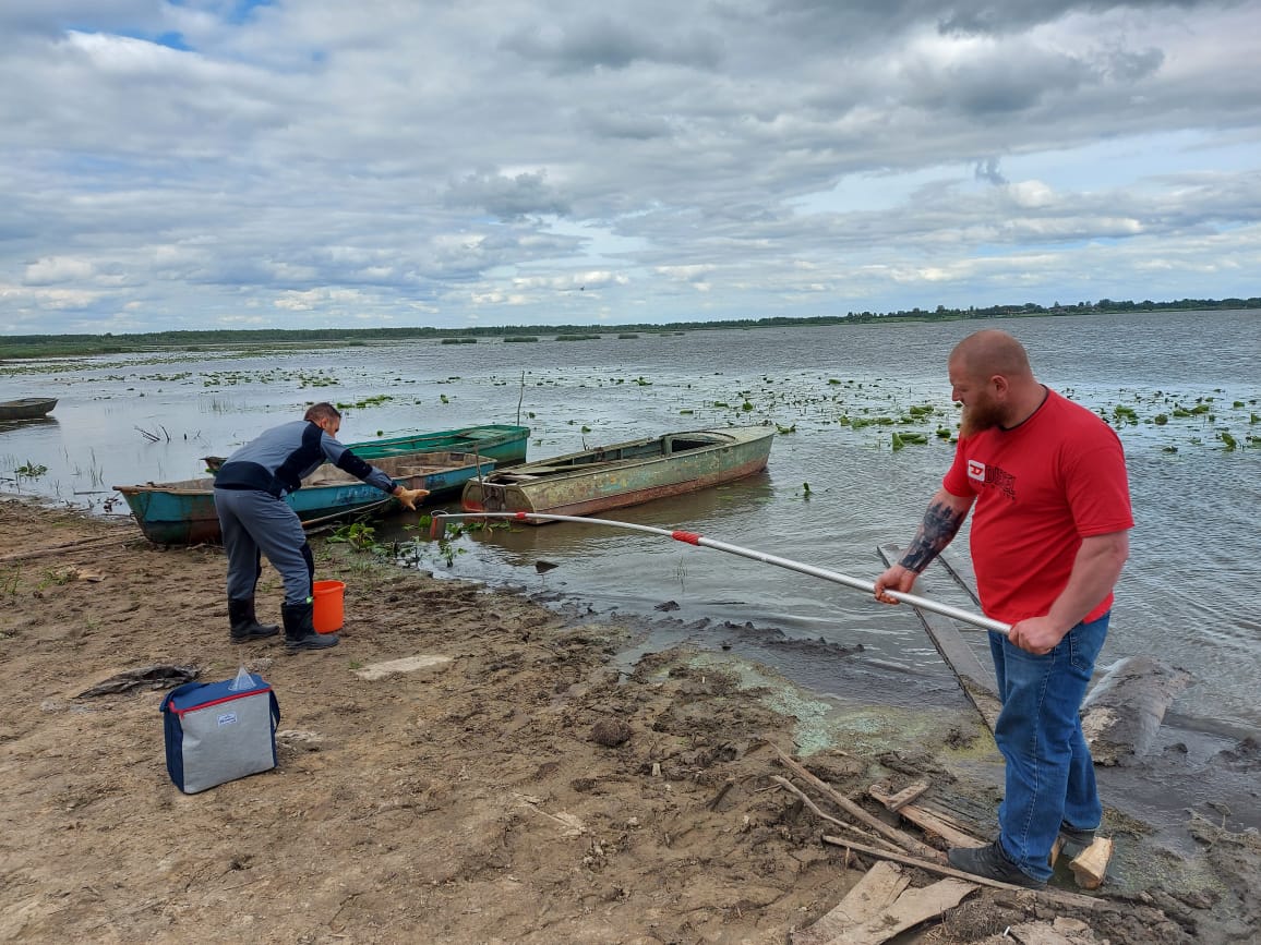 Жители пожаловались на обмеление озер у Красного Профинтерна: стали известны итоги проверки