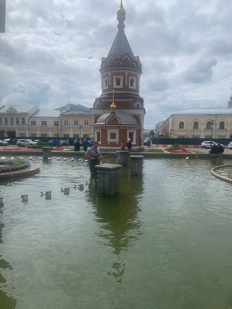 «Стали жертвами чаек»: в центре Ярославля специалисты помогли утятам спастись из фонтана