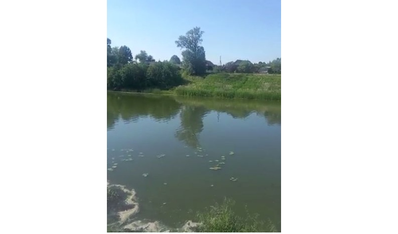 В Ярославской области специалисты установят причины загрязнения реки Нерли