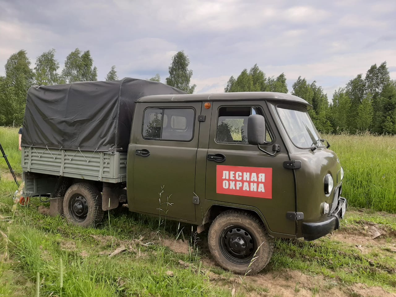 Более 900 патрулирований провели в лесах Ярославской области в рамках профилактики возгораний