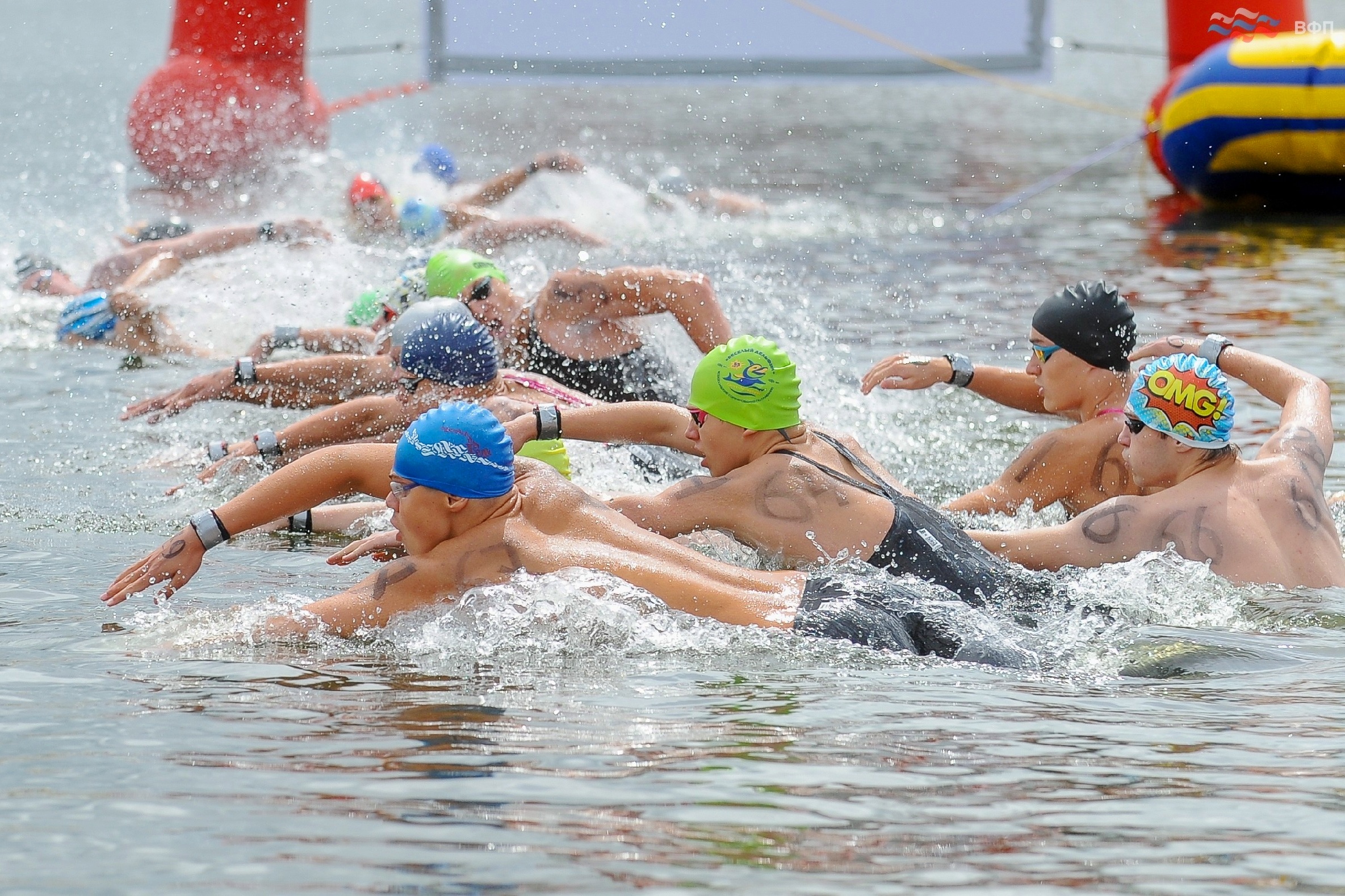 Сборная Ярославской области заняла первое место на первенстве России по плаванию