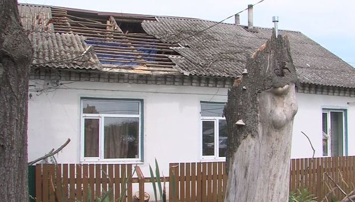 В Ярославской области дерево пробило дыру в крыше жилого дома