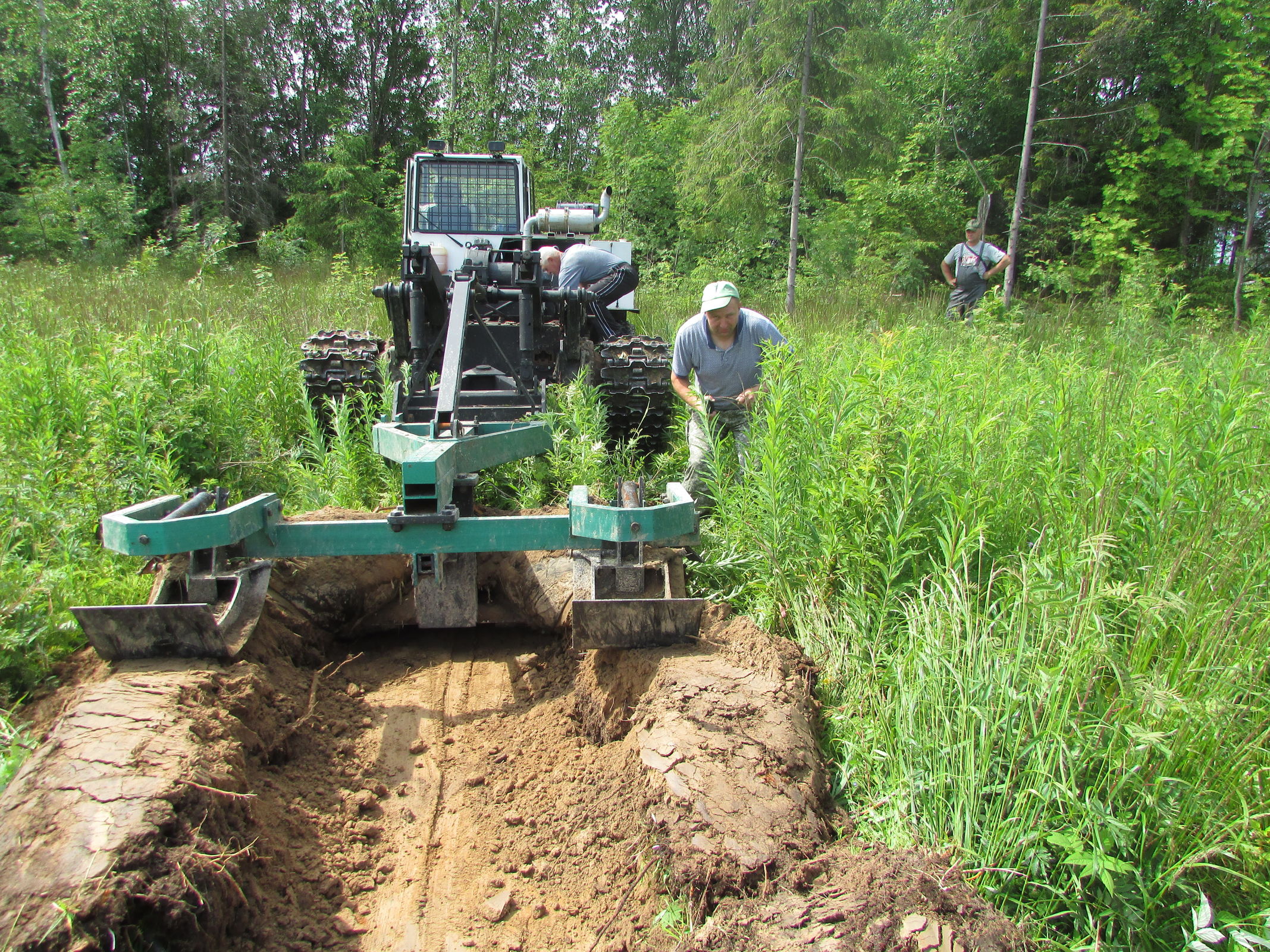 В Ярославской области начались работы по подготовке почвы под искусственное лесовосстановление