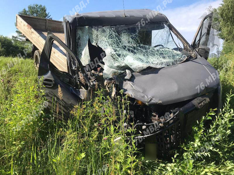 В результате столкновения двух грузовиков в Ярославской области два человека пострадали