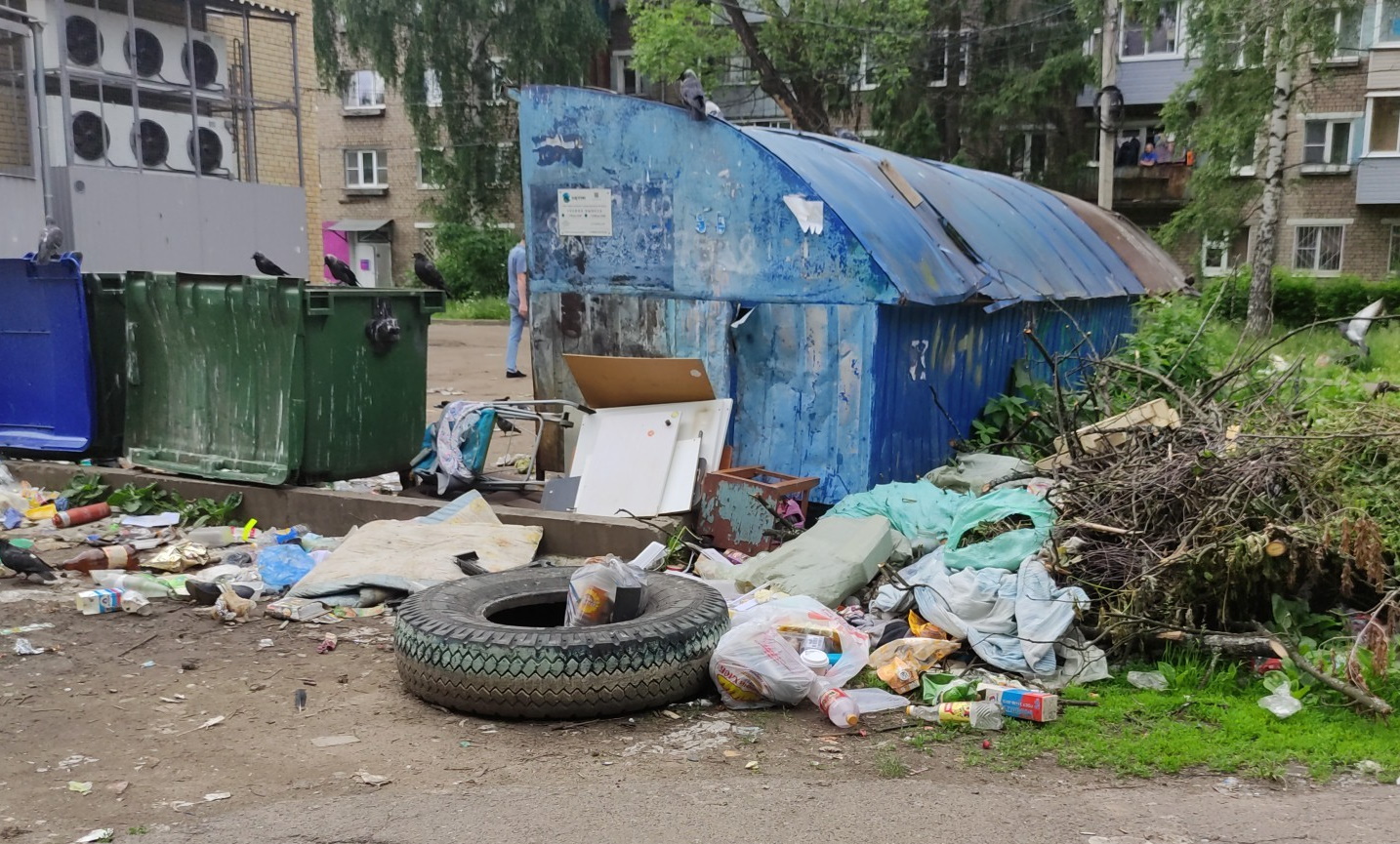 В Ярославской области штрафы за выброс мусора в неположенном месте  увеличили в несколько раз- Яррег - новости Ярославской области