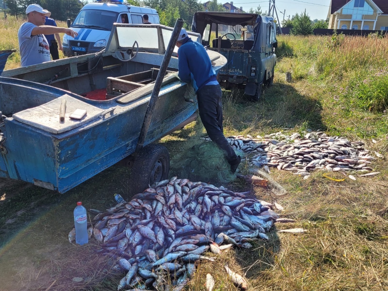 Свыше 2 тысяч хвостов судака, леща и плотвы изъяли у браконьера сотрудники ярославской рыбоохраны совместно с полицией