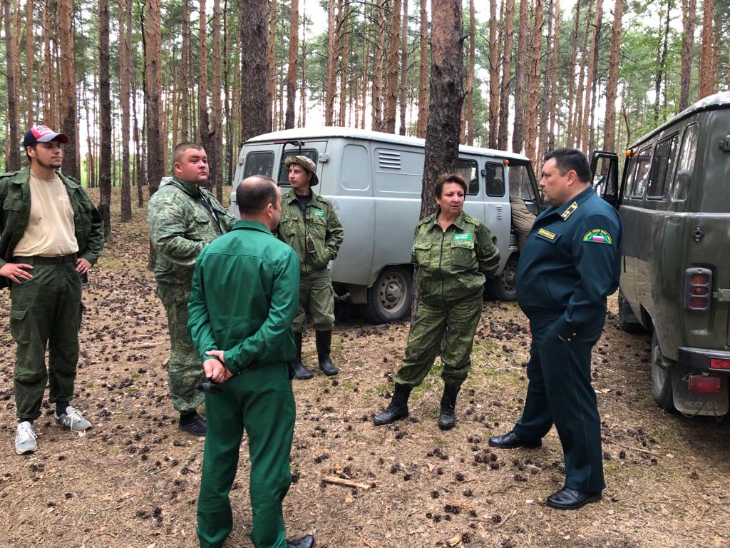 Руководитель департамента лесного хозяйства по ЦФО посетил Ярославскую область с рабочим визитом
