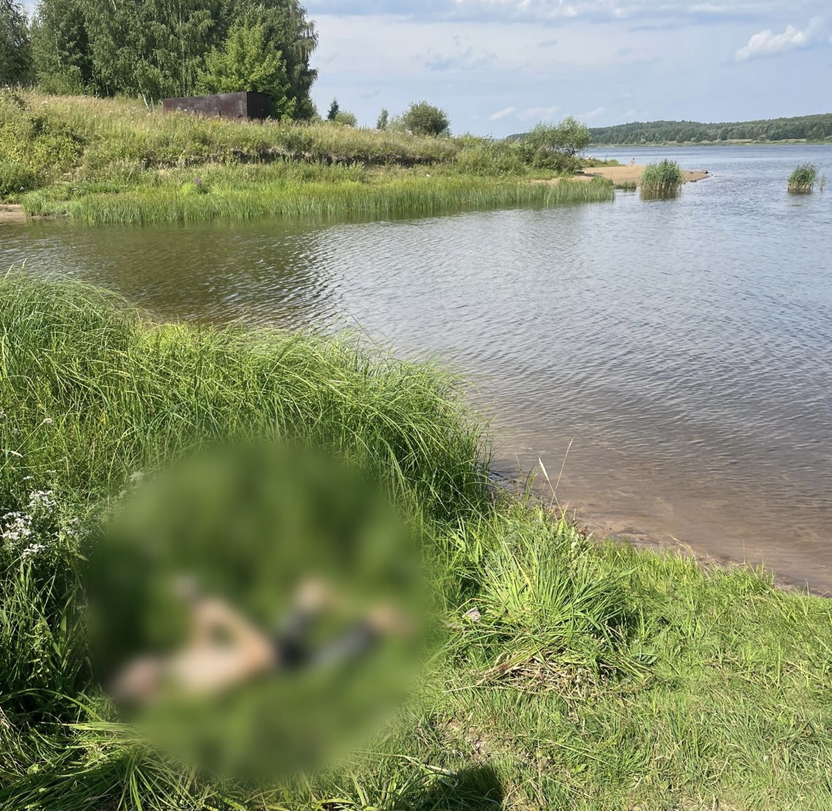 В акватории Волги в Ярославской области утонул 11-летний мальчик