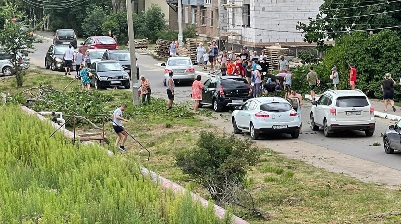 В Ярославской области во время грозы падали деревья: один случай обернулся трагедией