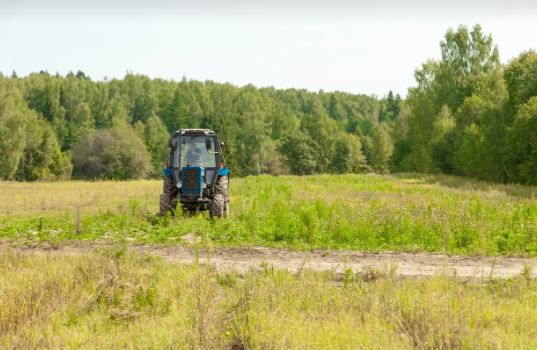 В Ярославской области работы по уходу за лесными культурами провели на площади порядка 6,5 тысячи гектаров