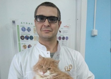 Известный ярославский ветеринар пострадал в ДТП в Краснодарском крае