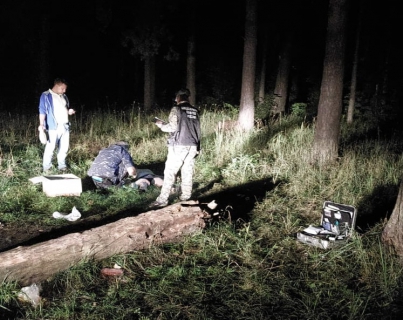 В лесу за Волгой в Ярославле нашли тело убитого мужчины