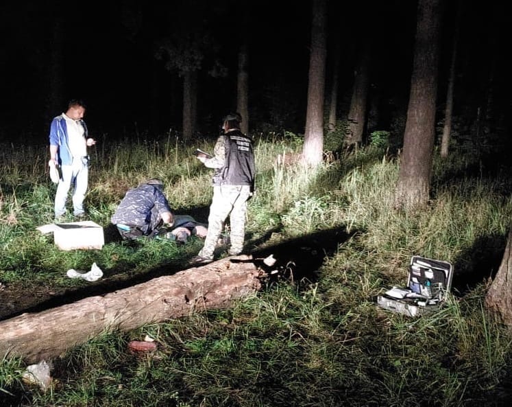 Тело нашли в лесу: подозреваемого в убийстве ярославца заключили под стражу