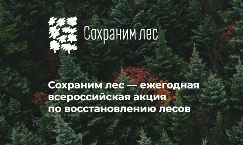 Ярославская область присоединится к акции «Сохраним лес»