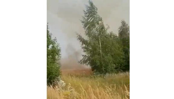 Пожарные предотвратили возгорание напротив НПЗ под Ярославлем: горела сухая трава
