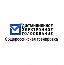 В Ярославской области проходит тренировка электронного голосования на выборах