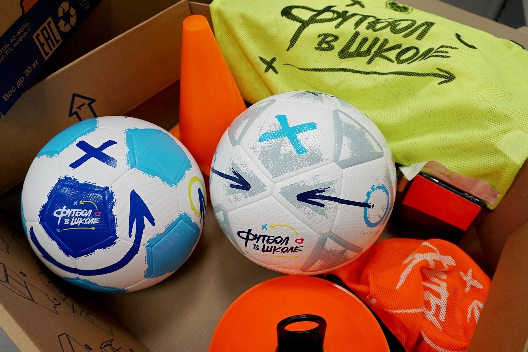 Школы Ярославской области получат около 500 мячей от Российского футбольного союза