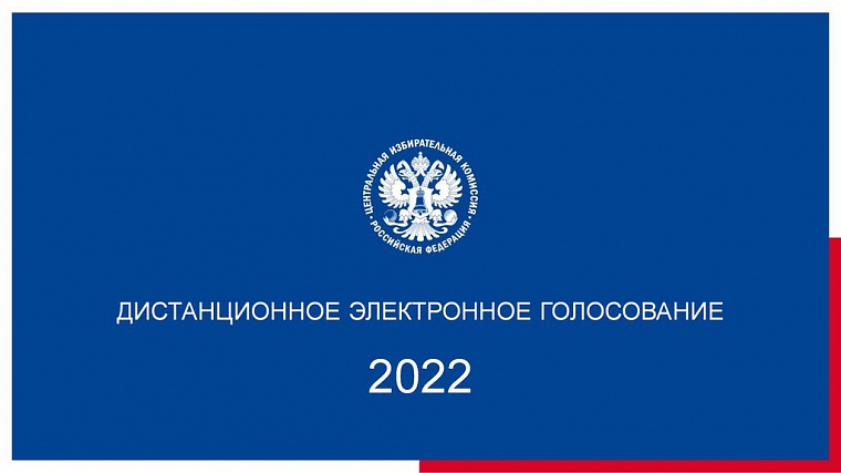Татьяна Акопова: жители региона активно используют дистанционное электронное голосование