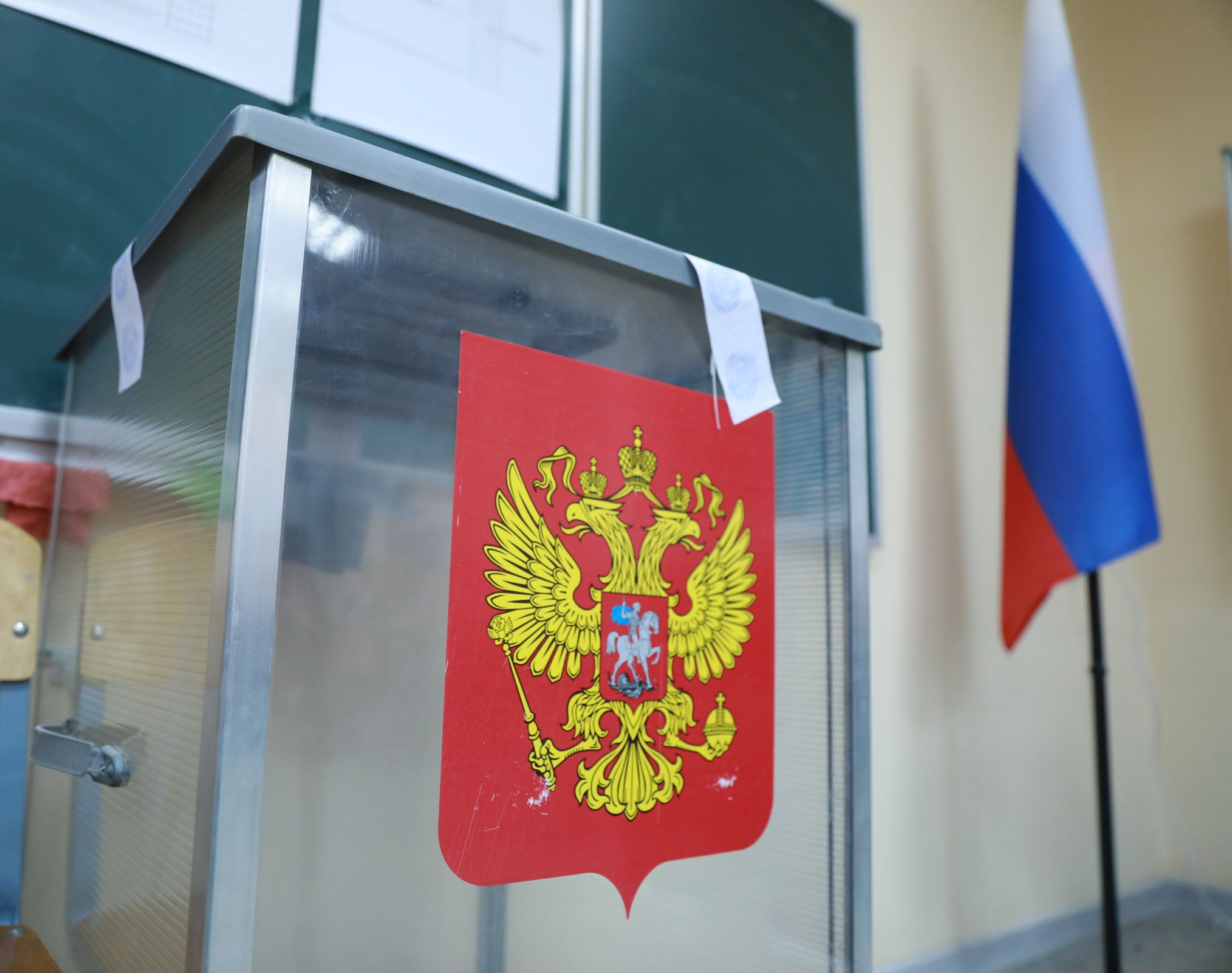 Онлайн на выборах в Ярославской области проголосовали более 26 тысяч избирателей