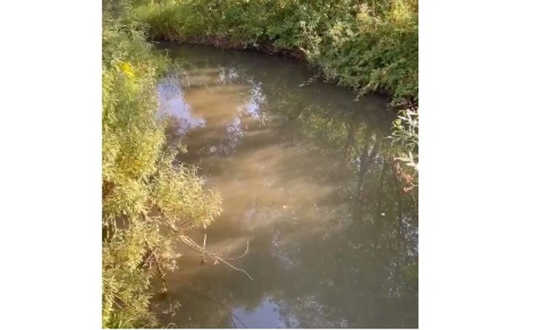 В Ярославской области возбудили уголовное дело по факту загрязнения реки Рыкуши