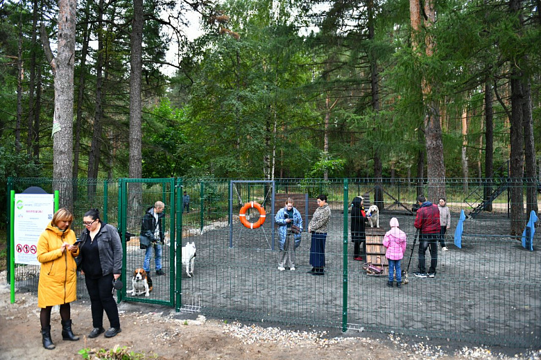 В Ярославле за Волгой открыли обновленную площадку для выгула собак
