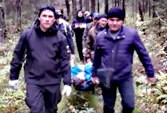 В Ярославской области из леса вынесли пропавшую 59-летнюю женщину