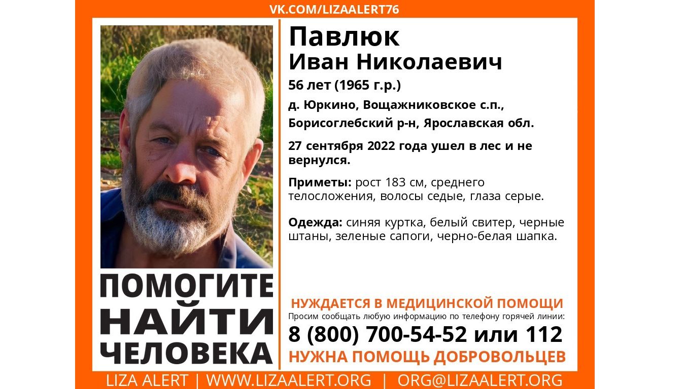 В Ярославской области ищут пропавшего грибника