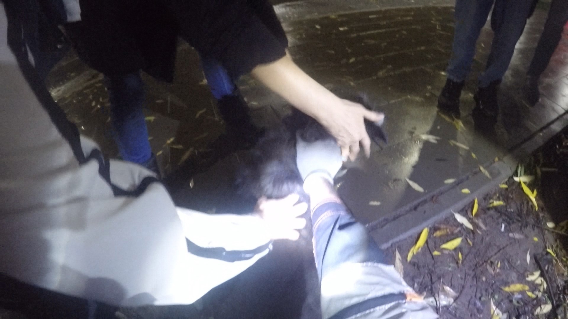В Ярославле спасатели помогли выбраться провалившейся в открытый люк собаке