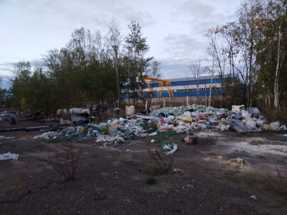 СК установит причастных к организации свалки опасных отходов под Ярославлем