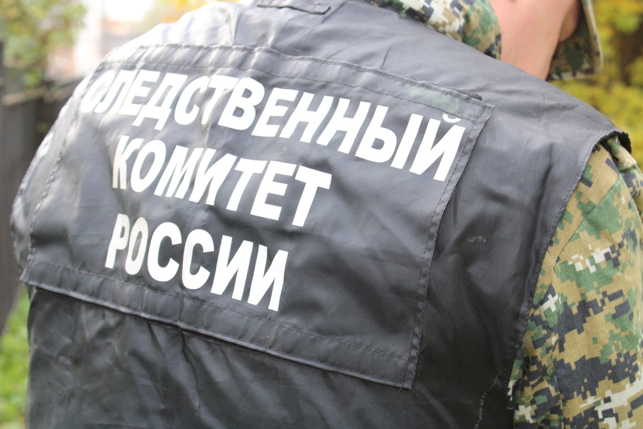 Жительница Ярославской области избила двух сопровождавших ее сотрудниц полиции