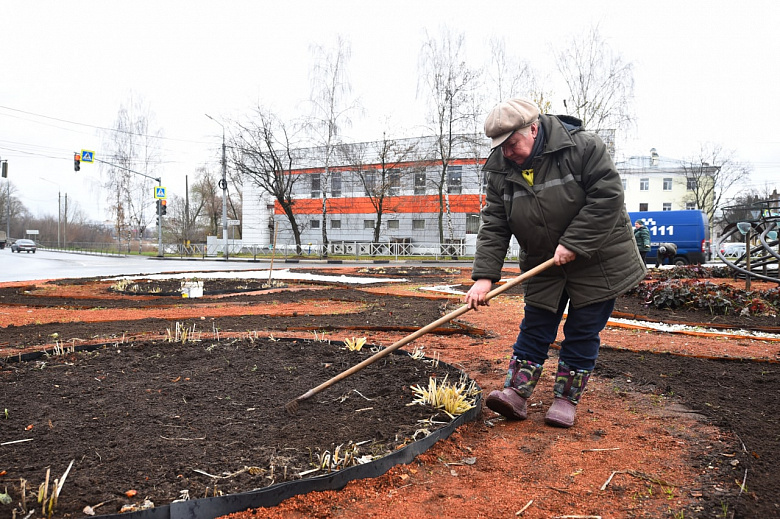 В Ярославле высаживают тюльпаны