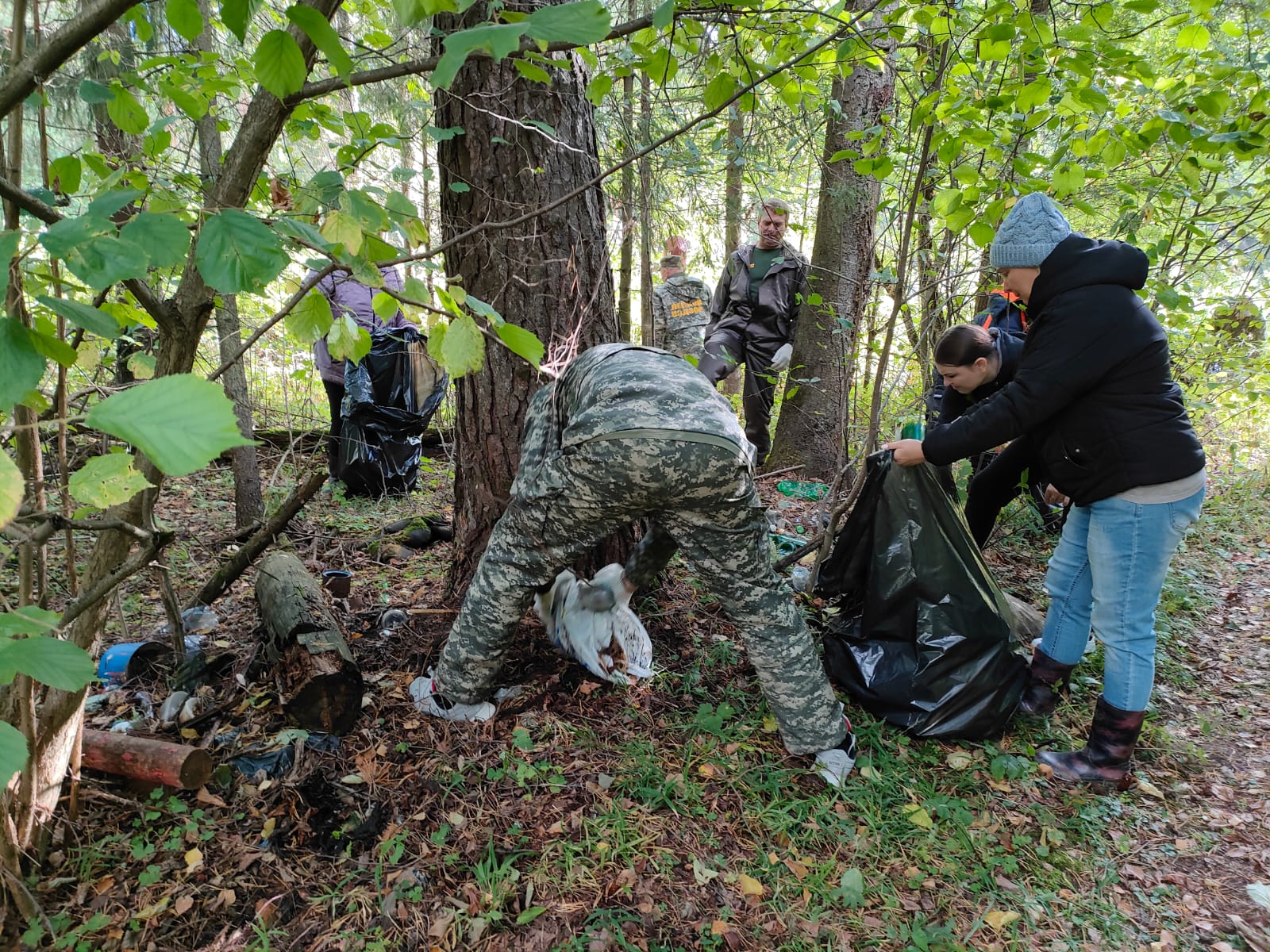 667 кубометров мусора убрали в лесах Ярославской области