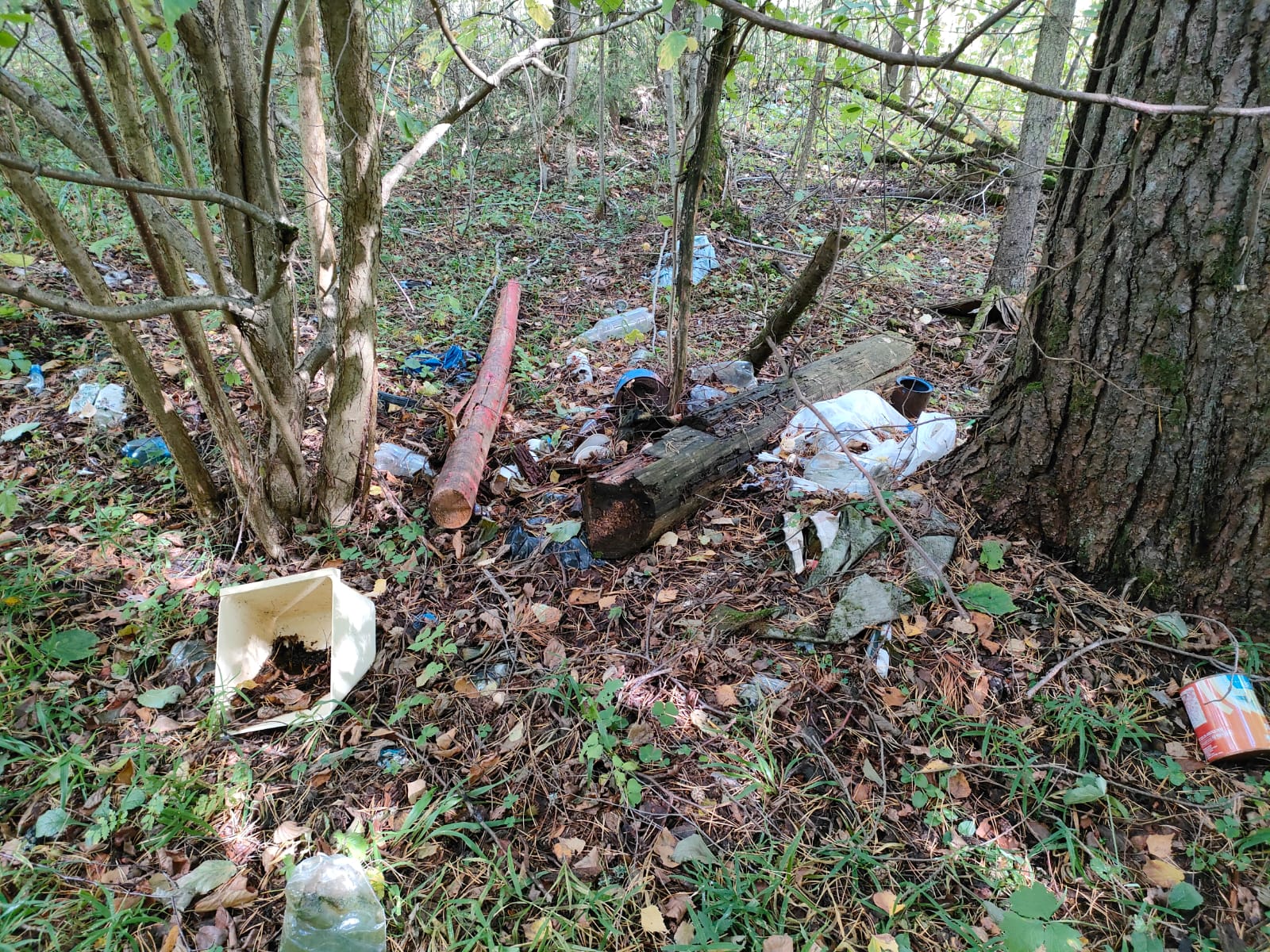 667 кубометров мусора убрали в лесах Ярославской области