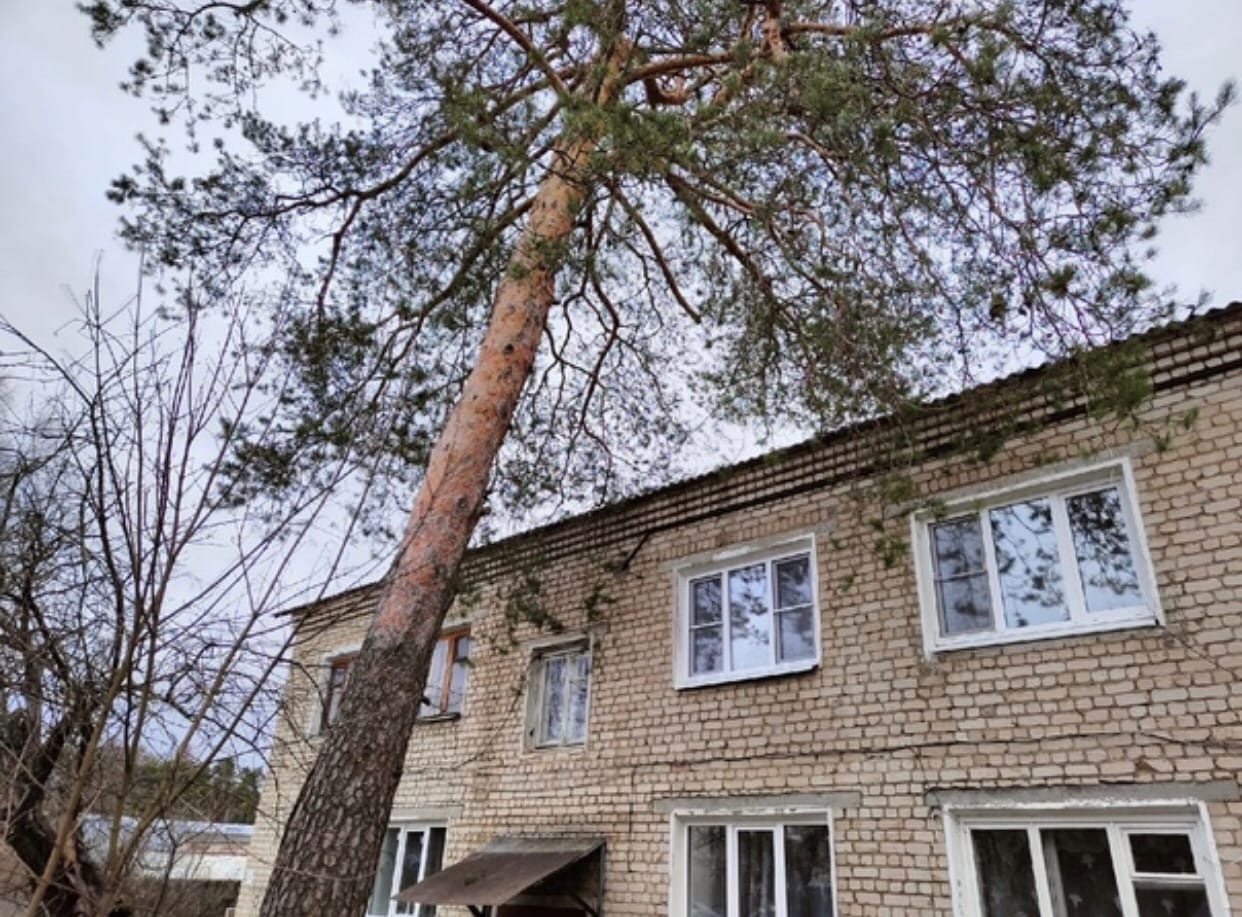 В Ярославской области восстанавливают поврежденные объекты после шквалистого ветра